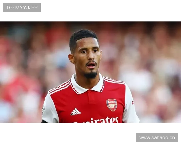 威廉·萨利巴：英超争冠赛季防线核心