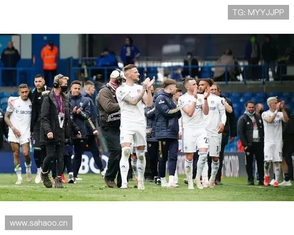 赖斯与菲利普斯：英格兰后腰战术角色及攻防效率对比分析